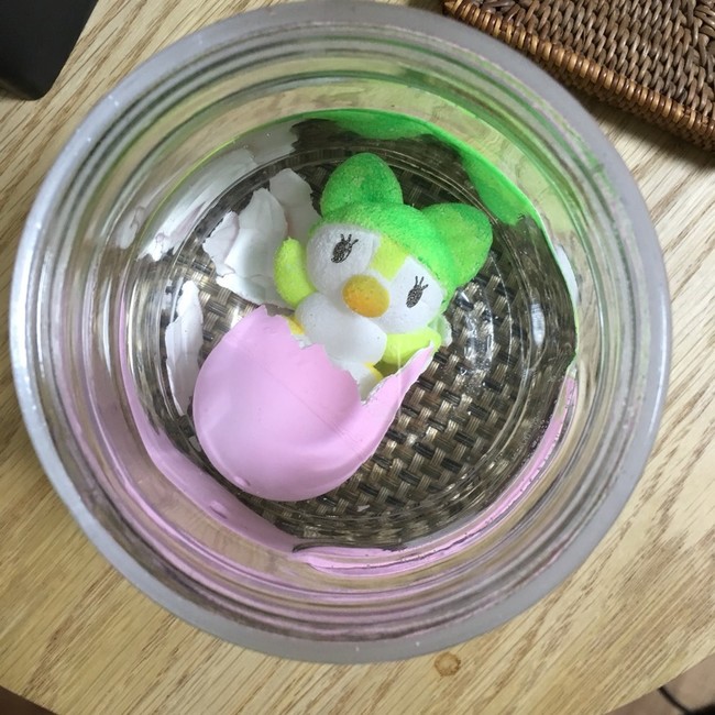 ペンギンのたまご 生まれた Taerinの簡単レシピ クックパッドブログ ペンギンのたまご 生まれた Taerinの簡単レシピ クックパッドブログ