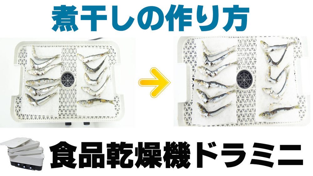 煮干しの作り方とお味噌汁のレシピ 食品乾燥機 ドラミニ 食品乾燥機やミキサーを使ったレシピ クックパッドブログ 煮干しの作り方とお味噌汁のレシピ 食品乾燥機 ドラミニ 食品乾燥機やミキサーを使ったレシピ クックパッドブログ
