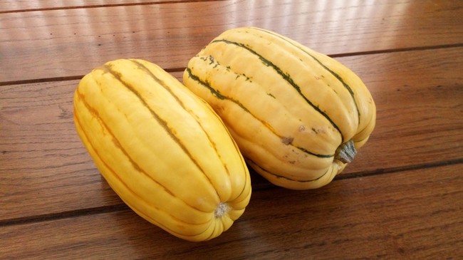 Delicata Squash かぼちゃ イン アメリカ 1 キッチン イン カリフォルニア クックパッドブログ