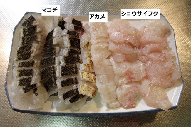 マゴチ釣りで フグ ゆりyo船長 お魚love クックパッドブログ