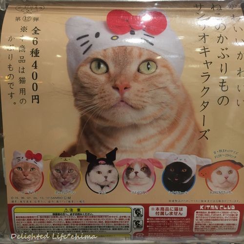 猫のかぶりもの ガチャガチャ サンリオシリーズ Delighted Life クックパッドブログ