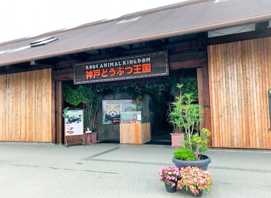 ものすごく思い出に残る神戸いろいろデート かんちゅのごはん日記ブログ クックパッドブログ ものすごく思い出に残る神戸いろいろデート かんちゅのごはん日記ブログ クックパッドブログ