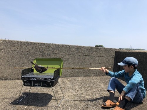 D09f34d51c157a3a771b919a7c7188b8