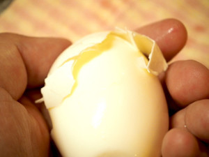 クックパッドニュース 試してみた ゆで卵の殻は コップ を使えばキレイ 簡単に剥ける 毎日新聞 クックパッドニュース 試してみた ゆで卵の殻は コップ を使えばキレイ 簡単に剥ける 毎日新聞