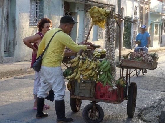 5ec48f14e2fe40cc371463559b3afedd