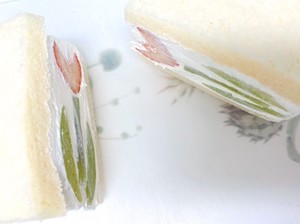 A4fa562efd892174580ea8d915330376