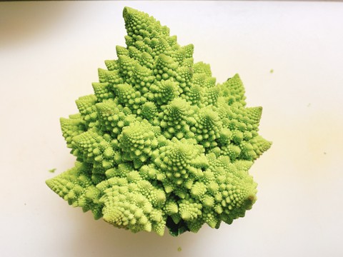 フラクタル構造のカッコいい野菜 ロマネスコ のおいしい食べ方 クックパッド芸人 藤井21のソロ飯 クックパッドニュース フラクタル構造のカッコいい野菜 ロマネスコ のおいしい食べ方 クックパッド芸人 藤井21のソロ飯 クックパッドニュース