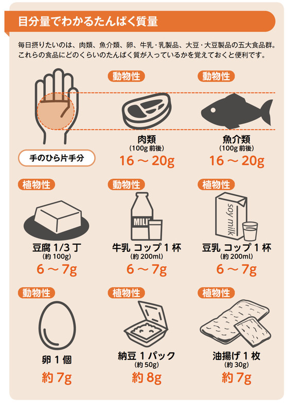 クックパッドニュース ダイエッター必見 痩せるために一番重要な たんぱく質 の基礎知識 毎日新聞