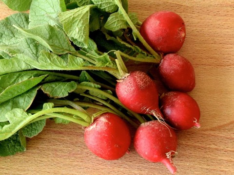 50 素晴らしい二十日大根 料理 最高の花の画像