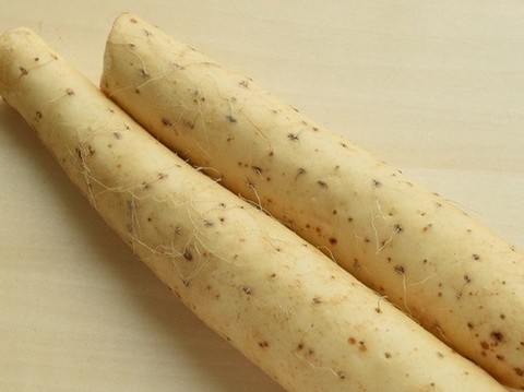 長芋の選び方 クックパッド料理の基本