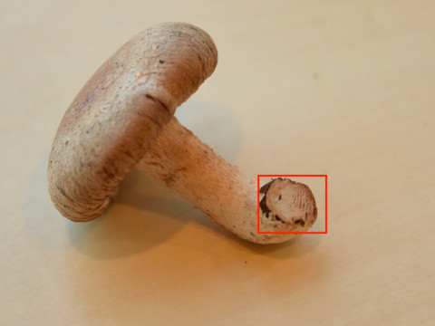 石づきとは クックパッド料理の基本