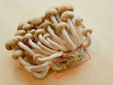 石づきとは クックパッド料理の基本