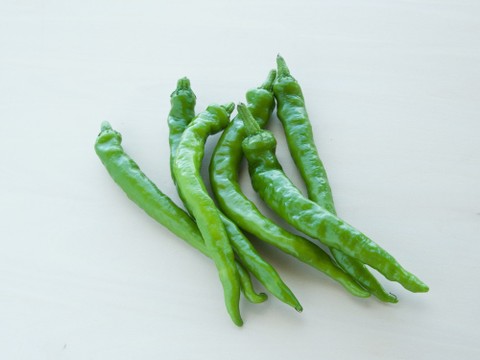 甘長とうがらし 伏見とうがらし とは クックパッド料理の基本