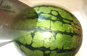 試してみた 衝撃の アルコールすいかボール ってどんな味 クックパッドニュース