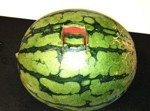 試してみた 衝撃の アルコールすいかボール ってどんな味 クックパッドニュース
