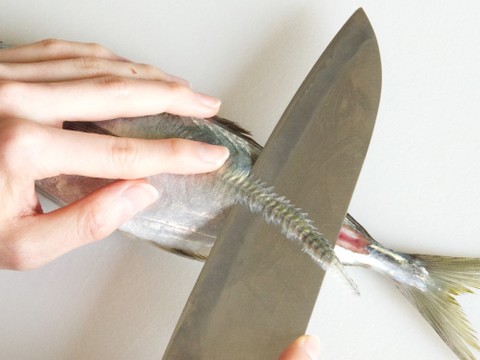 魚を三枚におろす 三枚おろし とは クックパッド料理の基本