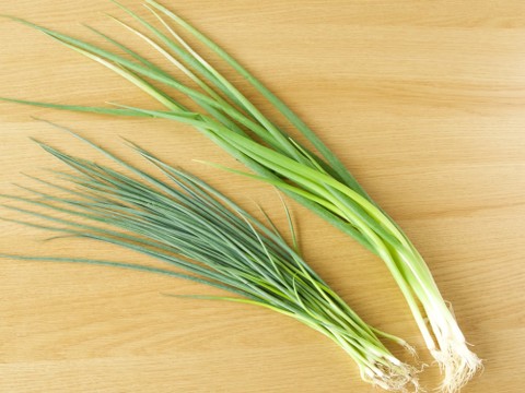 青ねぎ 葉ねぎ とは クックパッド料理の基本