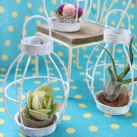 ペットボトルキャップで簡単かわいいリサイクル技 クックパッドニュース