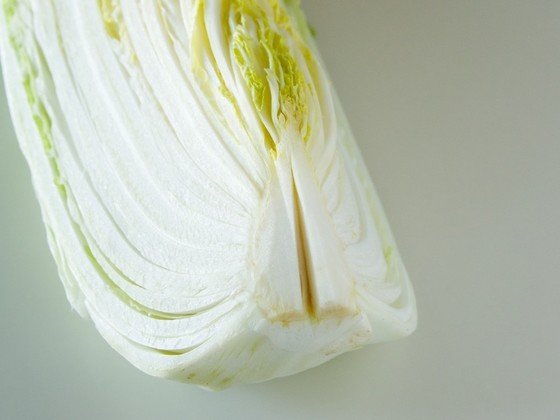 白菜の保存方法 クックパッド料理の基本