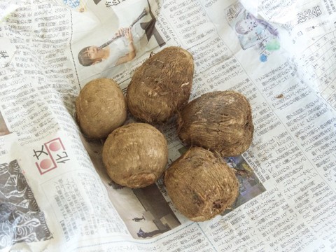 里芋の保存方法 クックパッド料理の基本