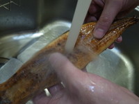 試してみた 市販の うなぎの蒲焼き を水洗いしたら本当に美味しくなった クックパッドニュース