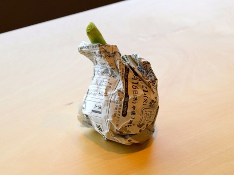 新たまねぎの保存方法 クックパッド料理の基本