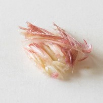 6ce0f7dffedc931b49a017e1d07f8a4e