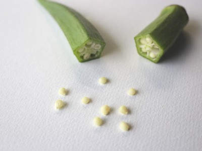 野菜や果物の種を比べてみよう クックパッド 簡単おいしいみんなのレシピが360万品