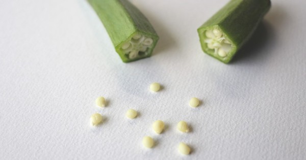 野菜や果物の種を比べてみよう クックパッド 簡単おいしいみんなのレシピが340万品