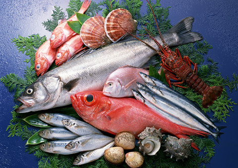 あなたが食べるべき魚がわかる 寿司屋に行く前に読んでおきたい魚介類の栄養と効能まとめ クックパッドニュース