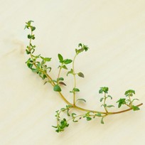 84ab0de69c5c494b323892d2442603cc