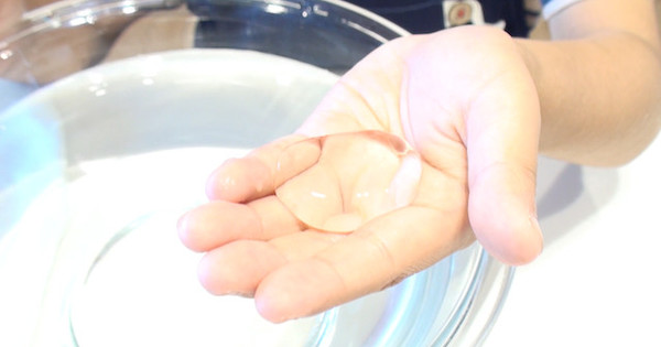 自由研究 動画で紹介 つまんで持ち運べる 水バルーン を作ってみよう クックパッド 簡単おいしいみんなのレシピが341万品