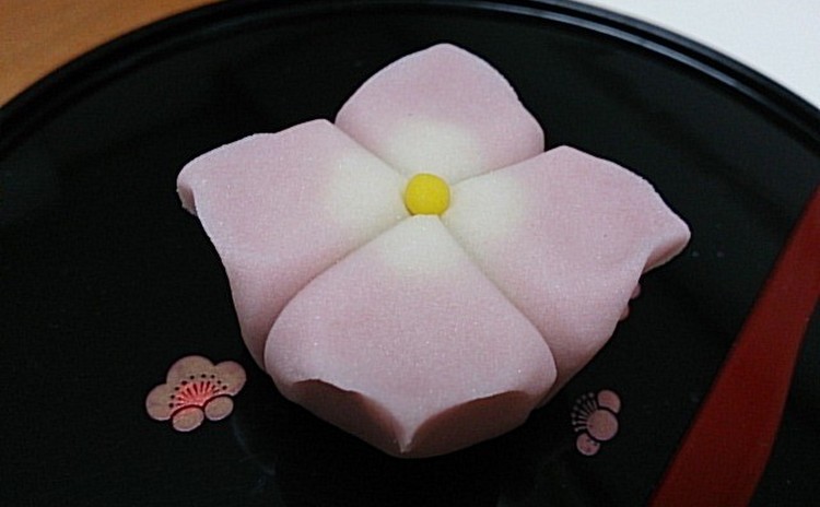 すべての美しい花の画像 Hd限定練り 切り 花 作り方 すべての美しい花の画像 Hd限定練り 切り 花 作り方