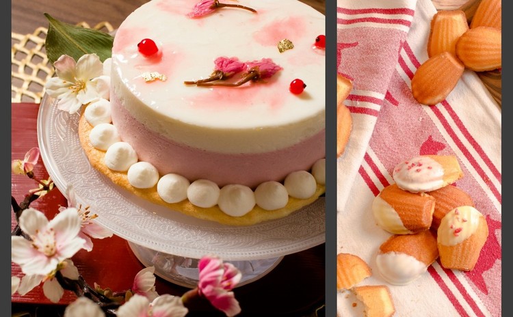 春爛漫!桜のチーズケーキ と 基本のマドレーヌ