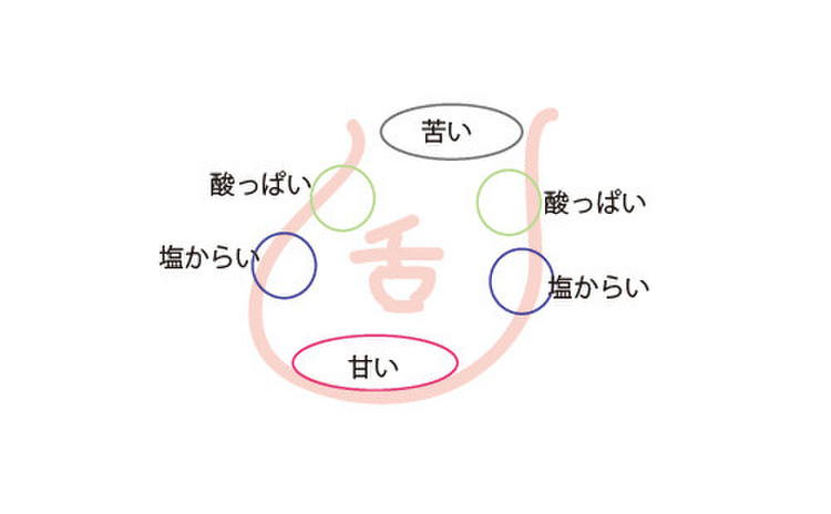特別クラス6月①「牛肉に合う日本酒」を楽しもう&味覚について知ろう!