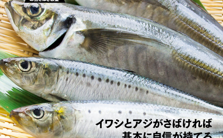 イワシとアジがさばければ 基本に自信が持てる!