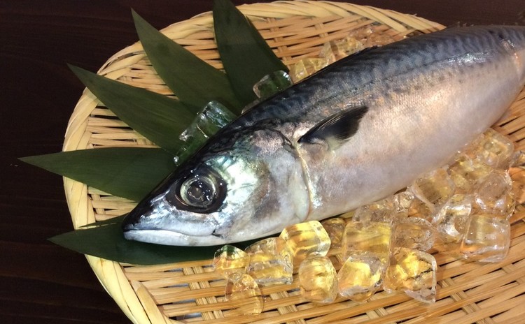寿司屋直伝 鯖の三枚おろし&しめ鯖の作り方