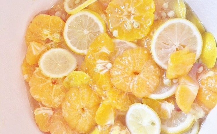 【気の巡り】柑橘類の手作り酵素と発酵食体験