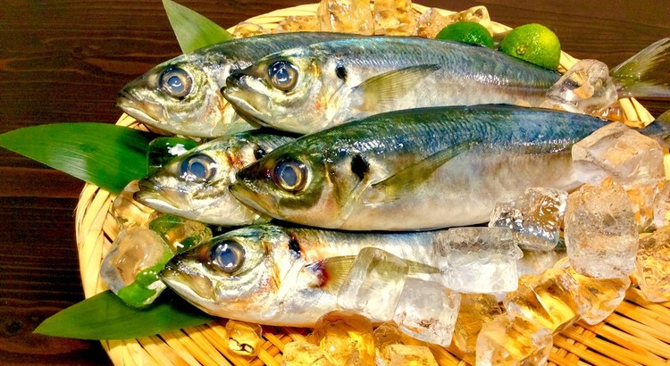鯵の3枚おろし 10尾おろして完璧マスター