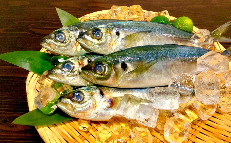 鯵の3枚おろし 10尾おろして完璧マスター
