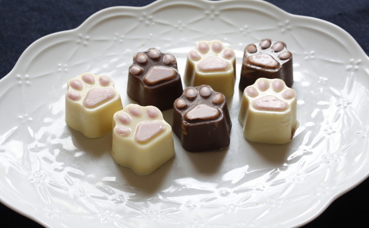 バレンタインギフトにわんこクッキー&肉球チョコはいかが?