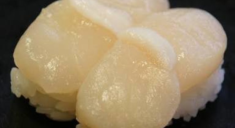 1日限定!!漁師直送海鮮クッキング