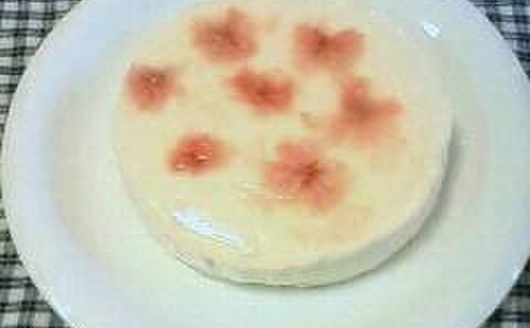 春爛漫! 桜咲くチーズケーキ