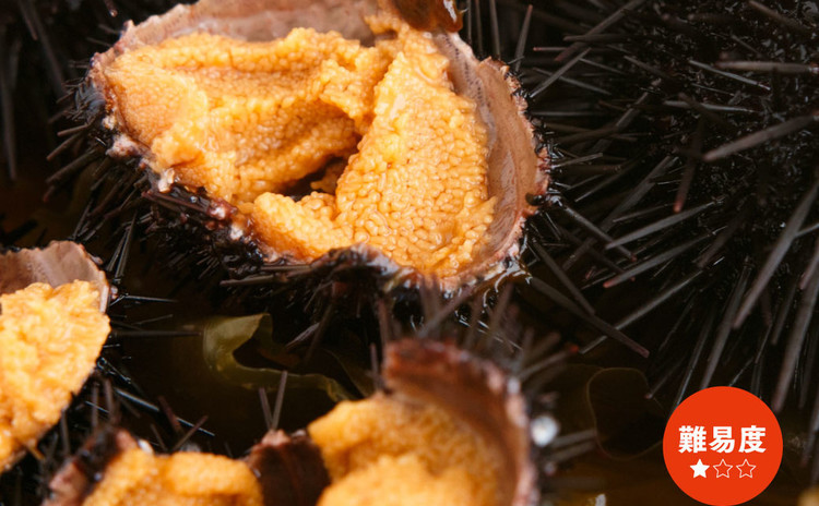ウニにはいろんな味がある! ウニ食べ比べ編!