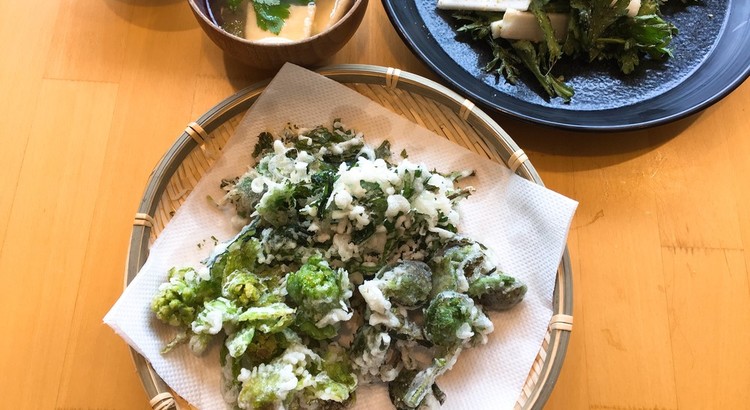 春は山菜が旬。農家の山菜はデカくて豪快。なにより美味い!