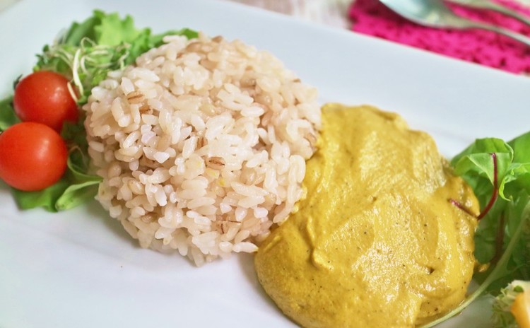 【減農青梅1Kg】疲労回復手作り酵素ジュースと夏に美味しい冷カレー
