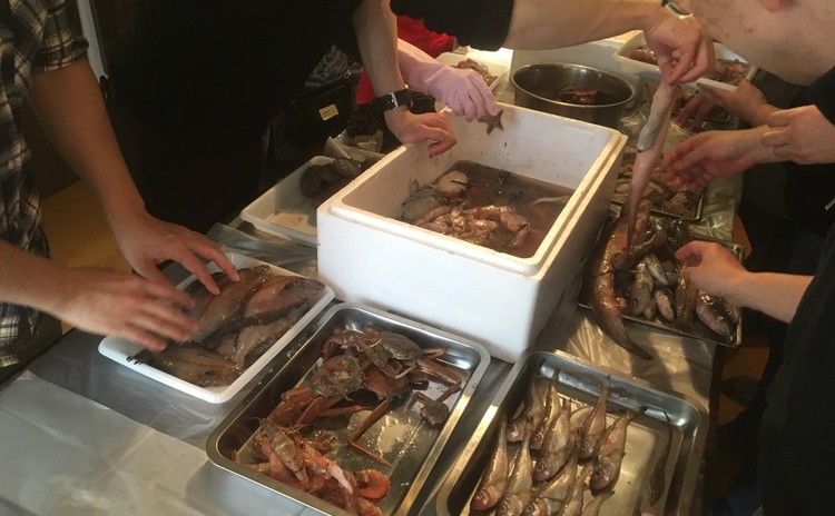 深海ギョッチ ~底曳網の出荷されなかった魚を眺めて食べる会~