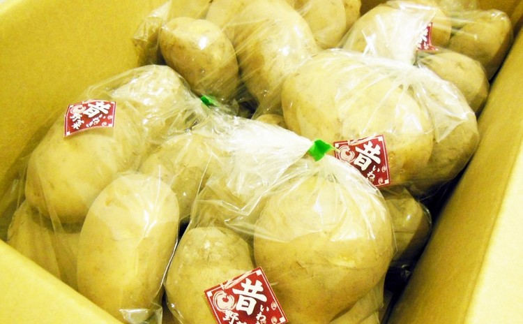 東北いわき昔野菜「おくいも」の重ね焼き・スペアリブ・タルトタタン他🌺お土産付