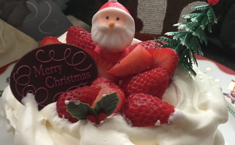 「ホワイトクリスマス」手作りケーキでクリスマス🎅(15㎝丸1台)