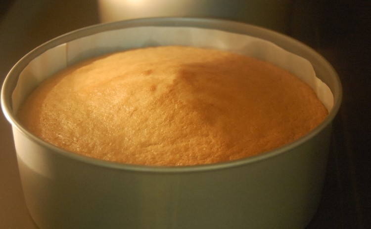 【プロが教える】『イチゴミルク味のショートケーキ』苺入りのピンク色のクリーム18cm